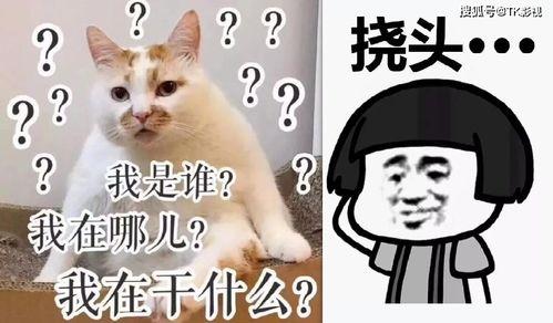 娱乐吃瓜酱专属梗图片,图解娱乐圈那些事儿